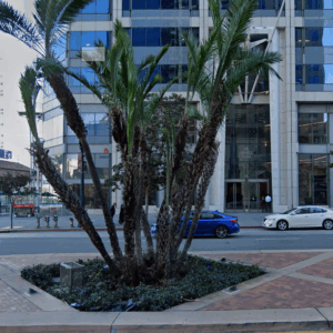 iQ Smart Center Parking Validation